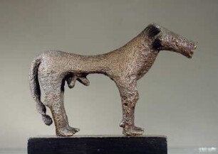 Rind (Stier)