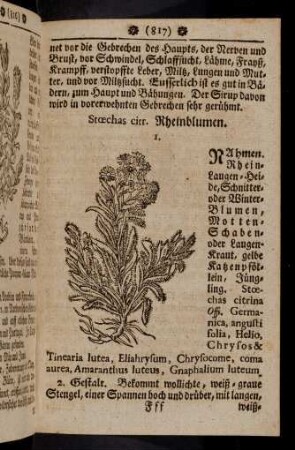 817-828, Stoechas citr. - Tanacetum