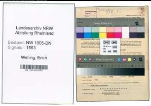 Entnazifizierung Erich Welling , geb. 13.07.1908 (Verkaeufer)