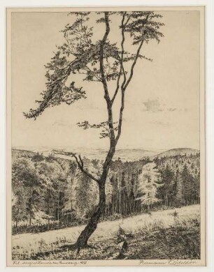 Landschaft
