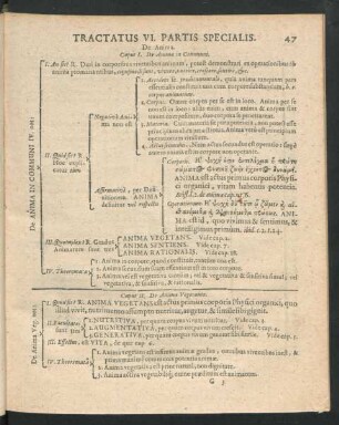Tractatus VI. Partis Specialis.