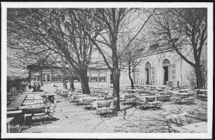 Meißen. Burgkeller, Garten