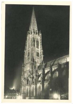 Freiburger Münster