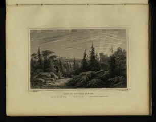 Region of the pines.