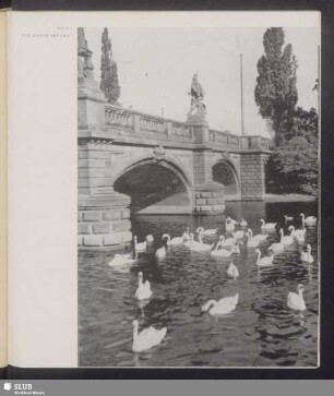 Die "Lange Brücke"