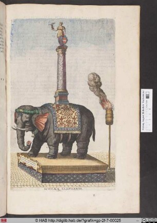 SCHEMA ELEPHANTI.