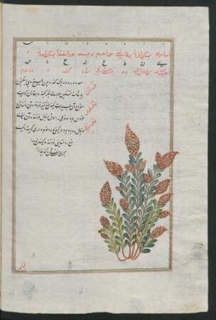 Illustration: f. 24v-56v