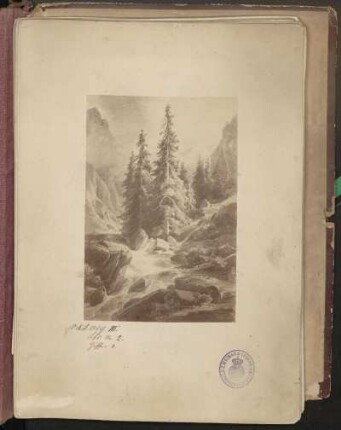 [1. Gebirgsbach (überhöht)]