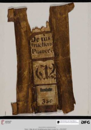 alter Rücken