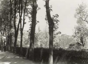 Leisnig, Stadtansicht : Leisnig. Blick vom Bahnhof auf die Stadt und Schloss nach Westen