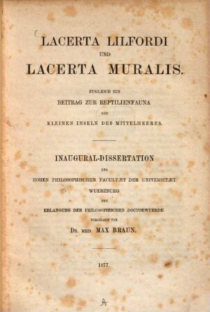 Lacerta Lilfordi und Lacerta muralis : zugleich ein Beitrag zur Reptilienfauna der kleinen Inseln des Mittelmeeres