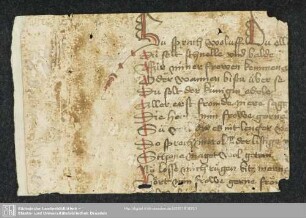 Salman und Morolf (Fragment) - Mscr.Dresd.R.52.um,Nr.4