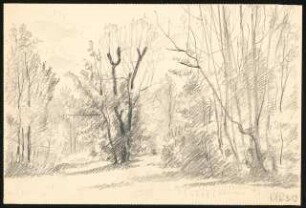 Zeichenübungen und Skizzen: Skizze Wiese und Wald