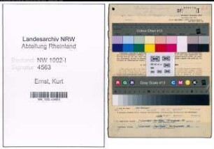 Entnazifizierung Kurt Ernst, geb. 07.01.1894 (Betriebsdirektor)