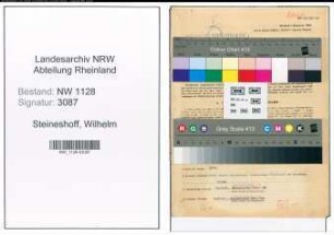 Entnazifizierung Wilhelm Steineshoff , geb. 25.07.1908 (Polizist)