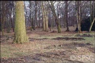 Potsdam, Park Sacrow, Sondierungsgrabung nach dem Wegeverlauf im Rondell beim Schloss.