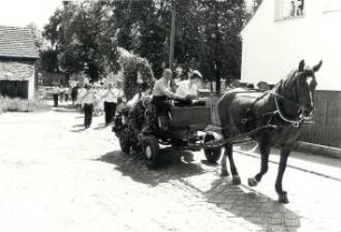Hahnrupfen in Tauer : Ort: Turjej / Tauer. Hahnrupfen, Zug zum Turnierplatz, der Wagen mit den Siegerkränzen, der Erntekrone und den drei Sekundanten
