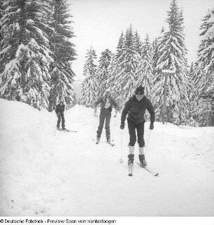 Wintersport (Skilaufen und Eisschnelllauf)