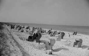 Badegäste am Prerower Strand