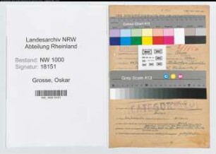 Entnazifizierung Oskar Grosse, geb. 14.12.1897 (Hilfsarbeiter)