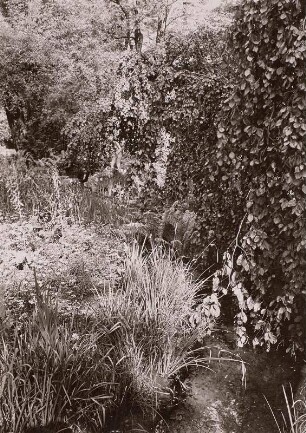 Großer Garten : Reichsgartenschau, Stauden am Bachlauf