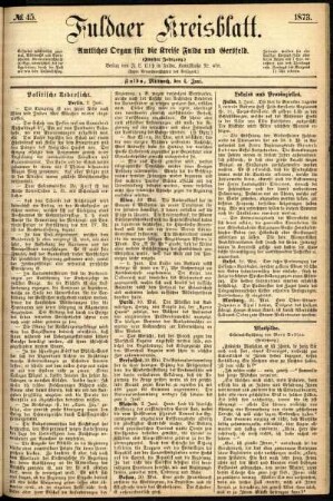 Ausgabe vom Mittwoch, den 04. Juni 1873.