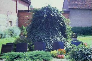 überwachsenes Kriegerdenkmal auf dem Friedhof mit Gedenktafeln für Gefallene 2. WK