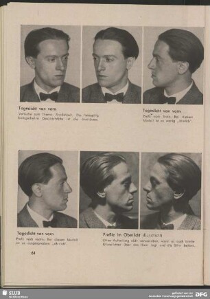 Profil im Oberlicht