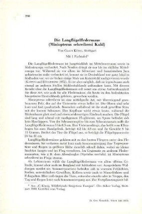 Die Langflügelfledermaus (Miniopterus schreibersi Kuhl)