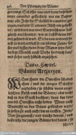 Das 19. Capitel. Bäume Artzneyen.