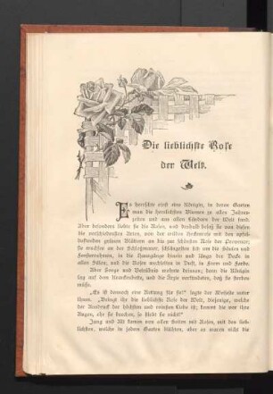 Die lieblichste Rose der Welt.