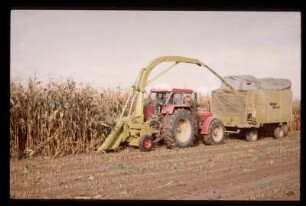 Feldhäcksler, Rückfahreinrichtung, Maisernte, Claas, zweireihig, Maisgebiss, Häckselwagen