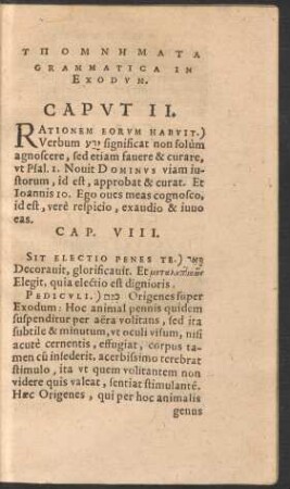 Ypomnēmata Grammatica In Exodum.