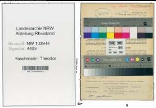 Entnazifizierung Theodor Haschmann , geb. 20.05.1886 (Beamter)