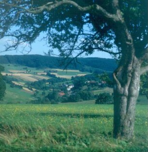 Ausblick von einer Spessarthöhe auf das Dörfchen Ahlersbach
