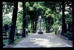 St. Matthäifriedhof 4.6.67.