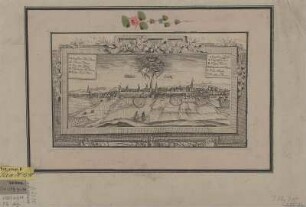 Ansicht von Großenhain, Kupferstich, um 1750 : Großenhayn. - [S.l.] , [um 1750?]. - 1 Kunstbl. : Kupferst. ; 20 x 9 cm