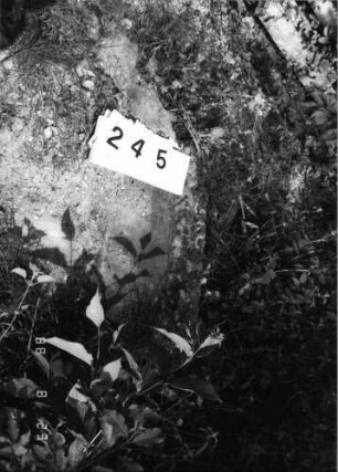 Grabstein 245 (Index: 100095821) Zustand: Fragment Beschreibung: Fragment: Grabstein 245