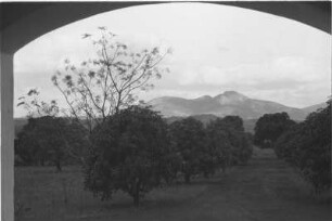 Blick vom Rasthaus in Songea : Blick in eine Landschaft mit Weg, Bäumen und Bergen.
