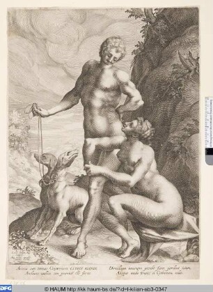 [Venus und Adonis; Venus and Adonis]
