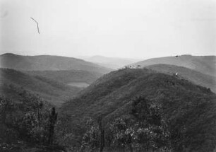 Hügellandschaft : Eine hügelige Landschaft in Brasilien. Im Vordergrund Bäume.