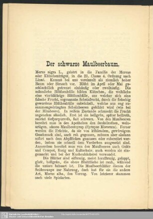 Der schwarze Maulbeerbaum