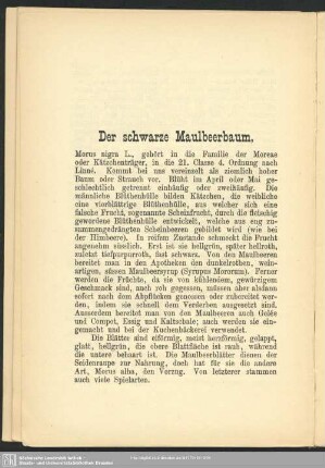 Der schwarze Maulbeerbaum