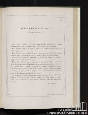 Azalea Franklin.