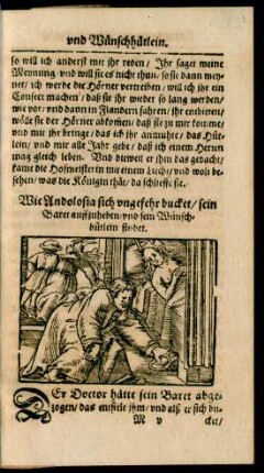 Wie Andolosia sich ungefehr bucket/ sein Baret auffzuheben/ und sein Wünschhütlein findet.