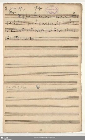 Paucken [nur erster Chor]