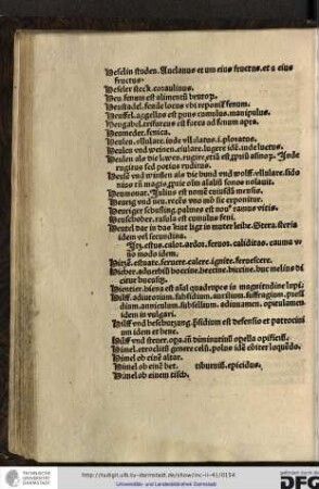 Heselin studen, avelanus et um eius fructus et a eius fructus.
