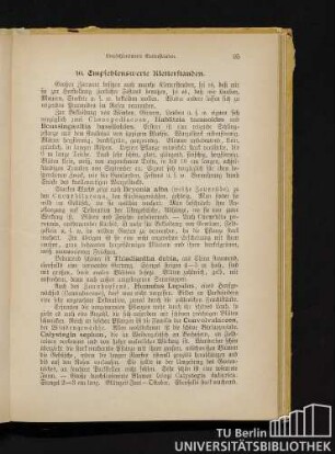 10. Empfehlenswerte Kletterstauden.