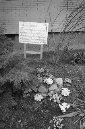 Entwendung von Blumenschmuck aus dem Vorgarten des Hauses Geibelstraße 18