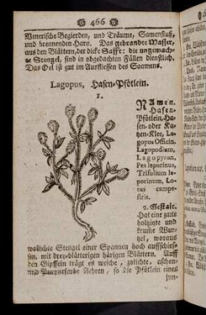 466-477, Lagopus - Lentiscus